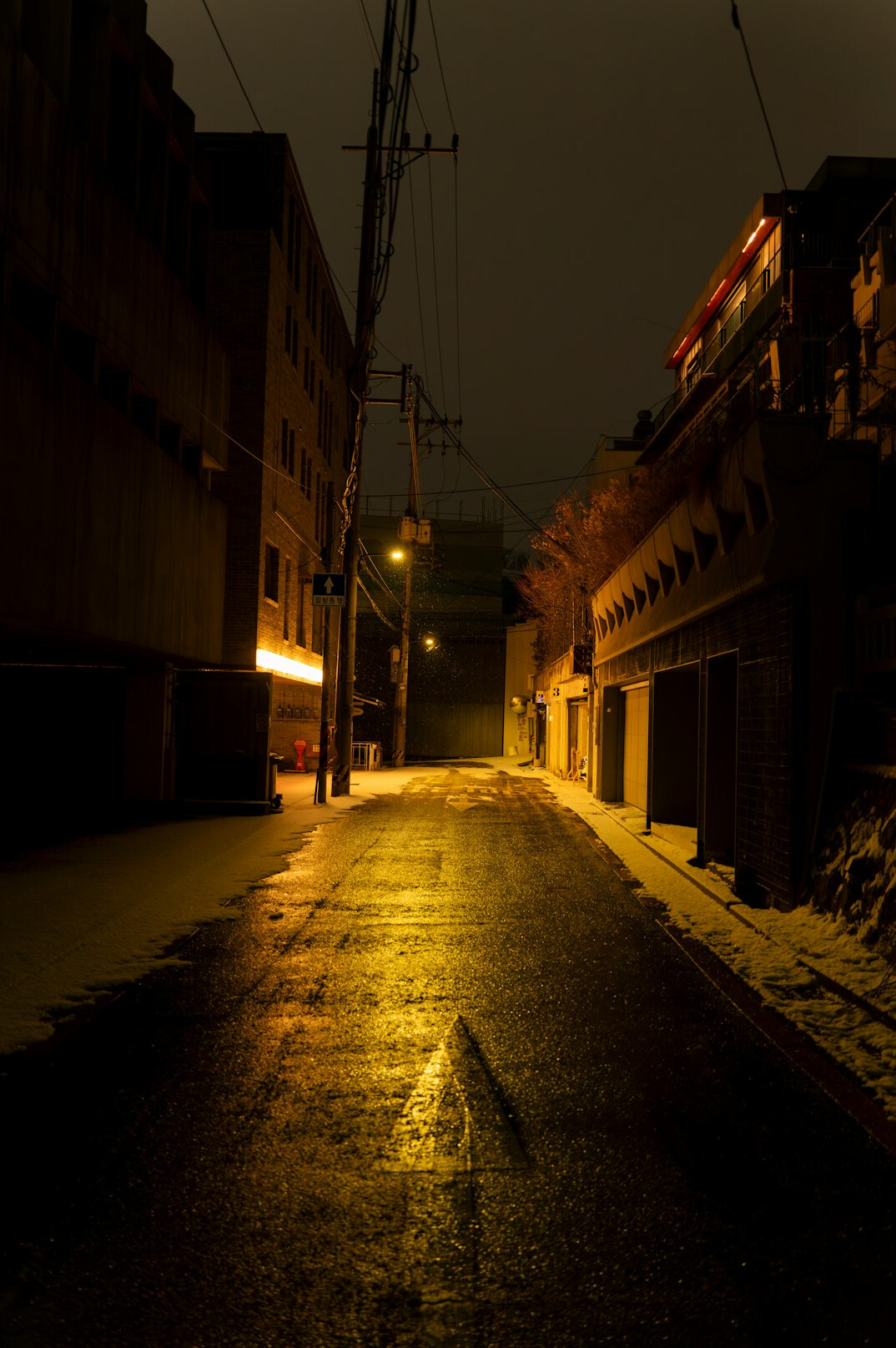 foggy street at night