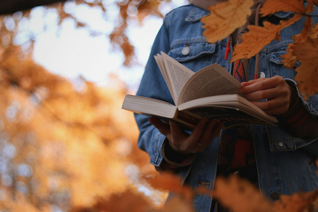 person reading thriller