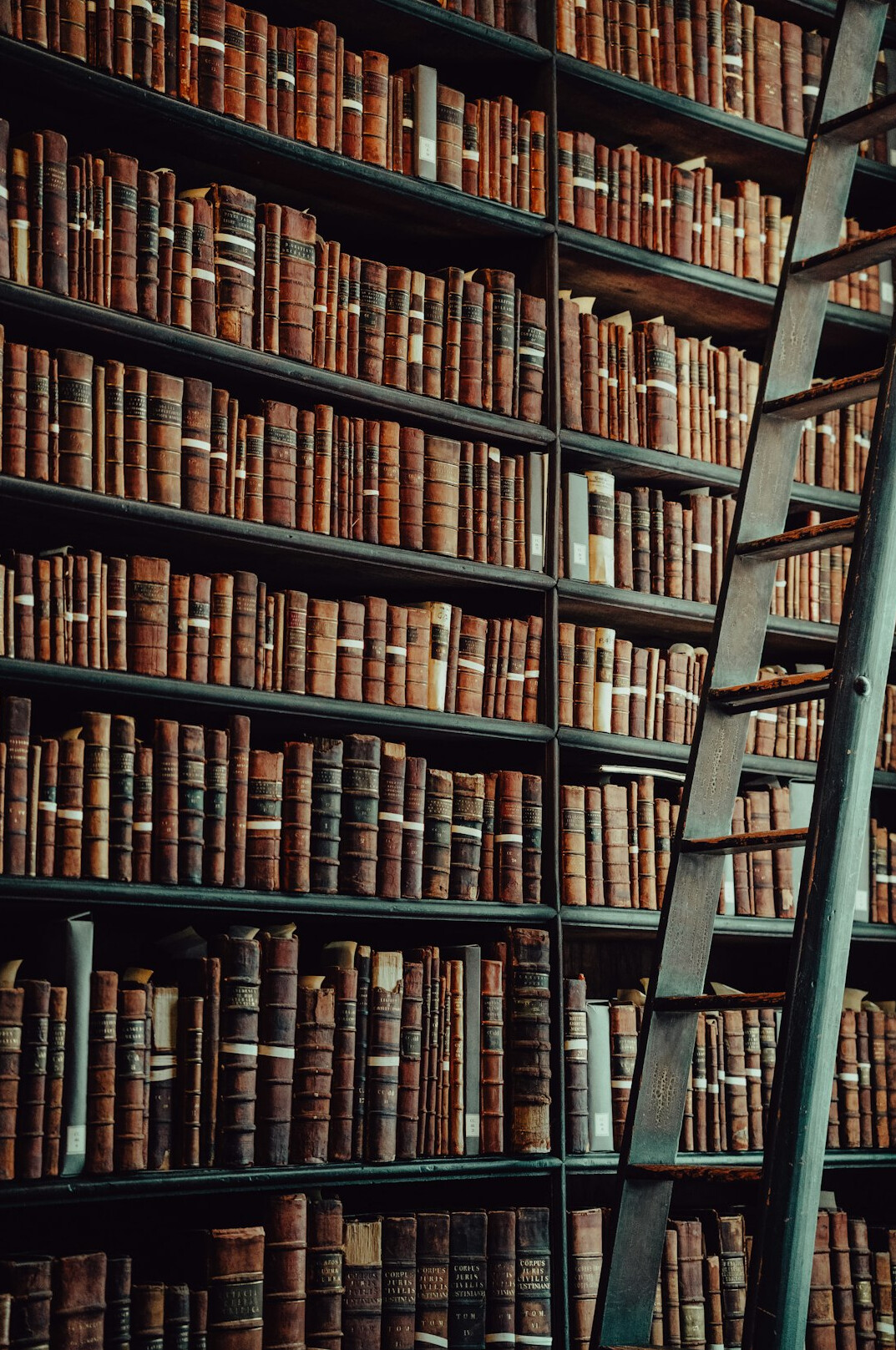 Historic library with tall wooden shelves and a ladder